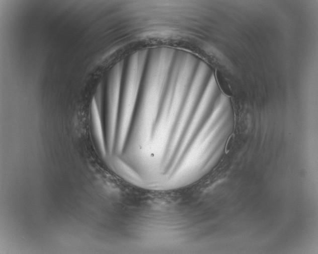 X0000074210822200609221939