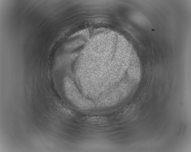 X0000074210823200609221939