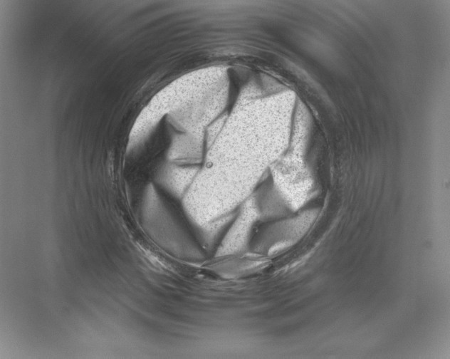 X0000074210825200609221939