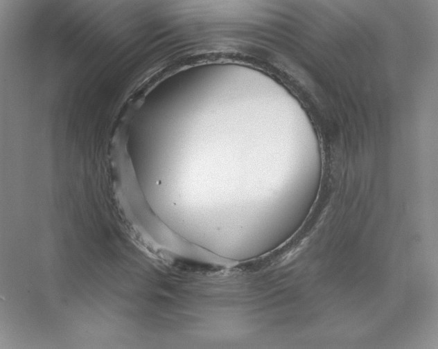 X0000074210826200609221939