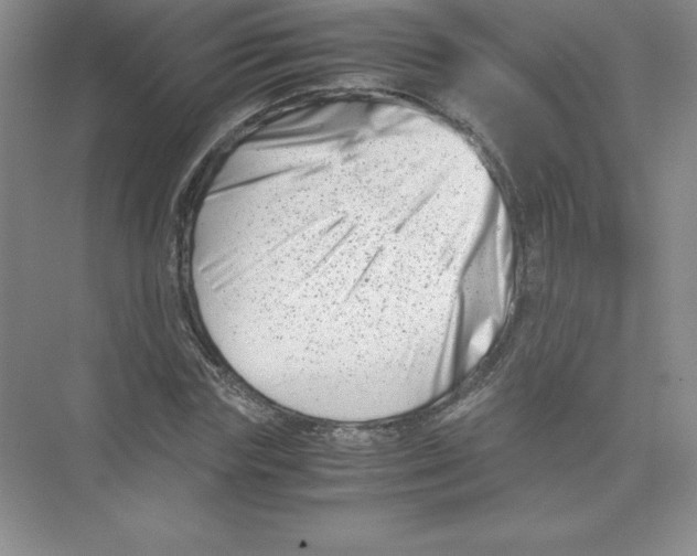 X0000074210827200609221939