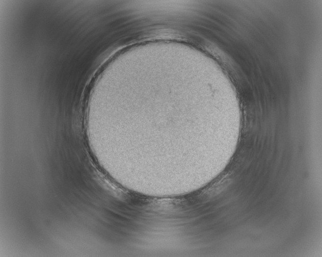 X0000074210828200609221939