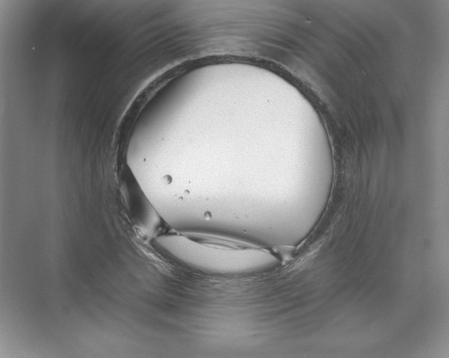 X0000074210830200609221939