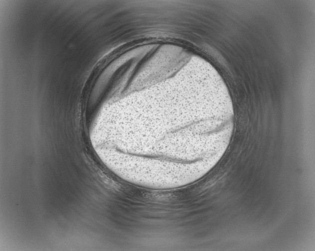 X0000074210831200609221939