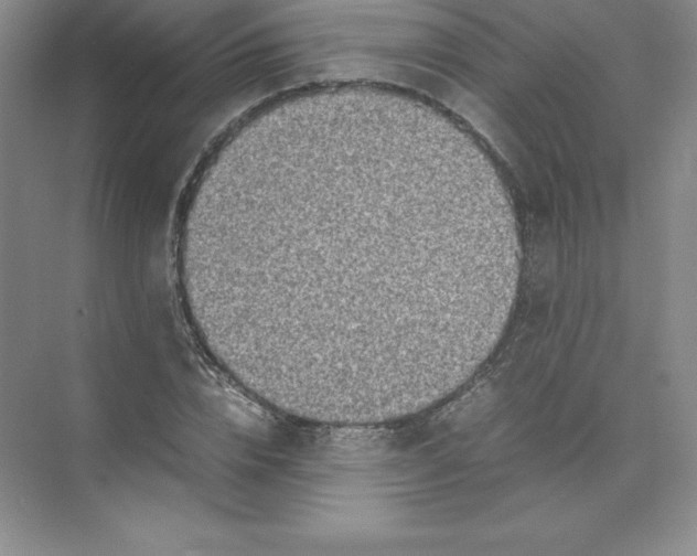 X0000074210832200609221939