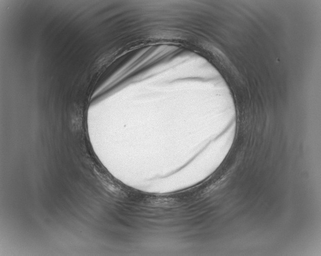 X0000074210833200609221939