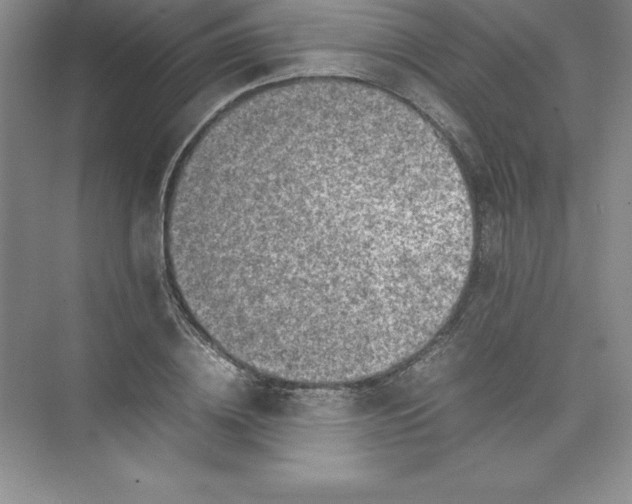 X0000074210836200609221939