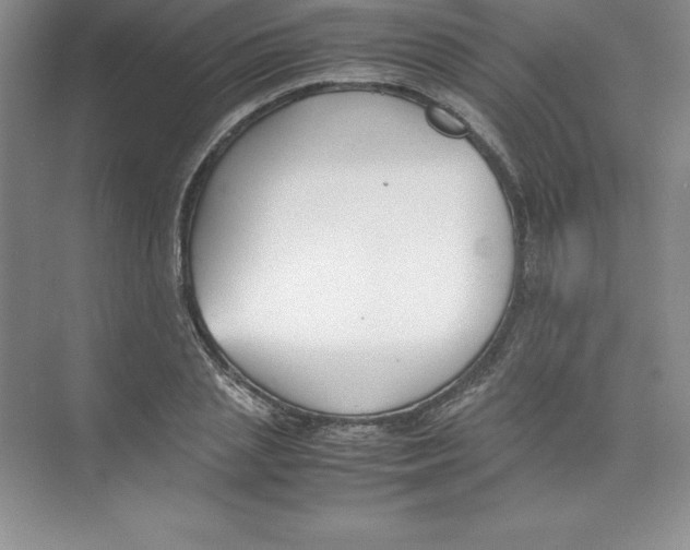 X0000074210837200609221939