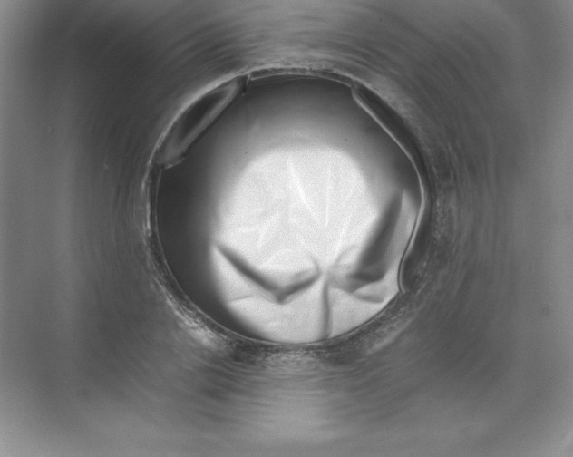 X0000074210838200609221939