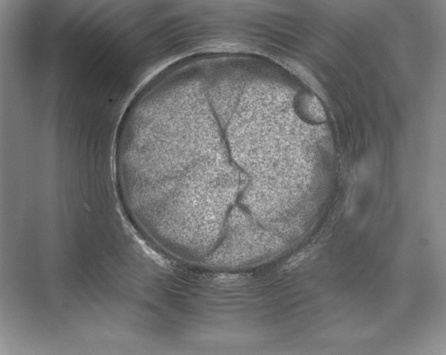 X0000074210839200609221939