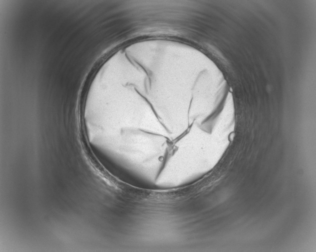 X0000074210840200609221939