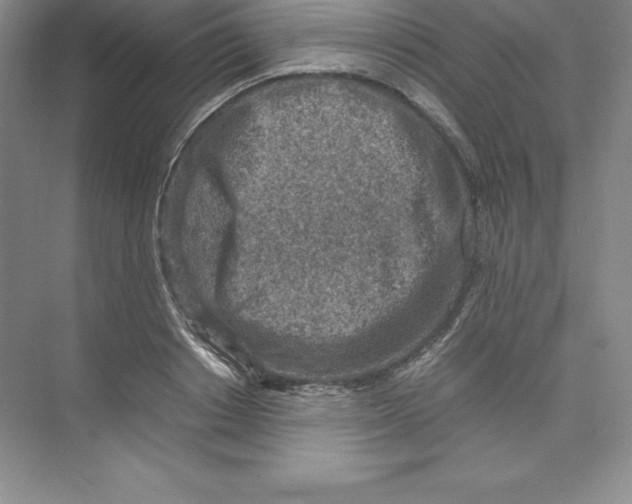 X0000074210842200609221939