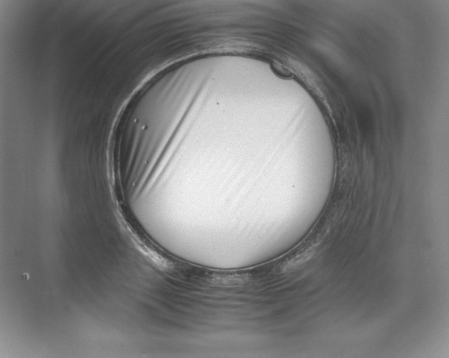 X0000074210843200609221939