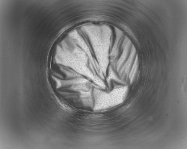 X0000074210845200609221939