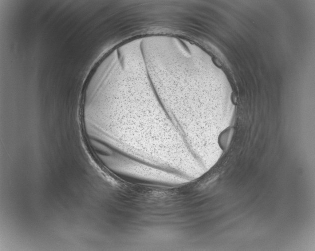 X0000074210847200609221939