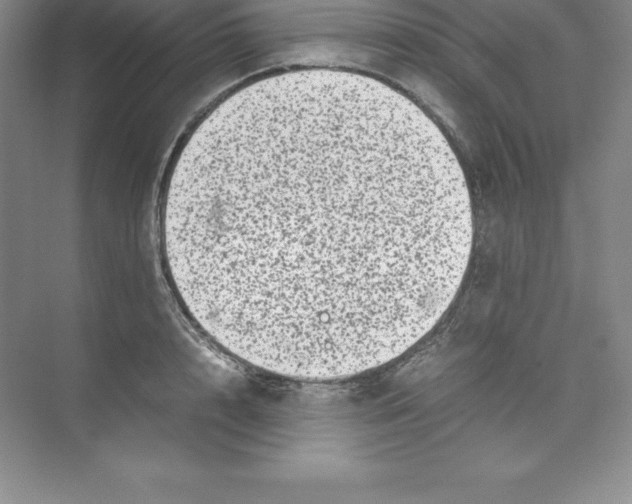 X0000074210848200609221939