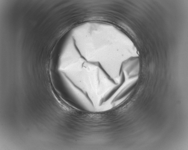 X0000074210849200609221939