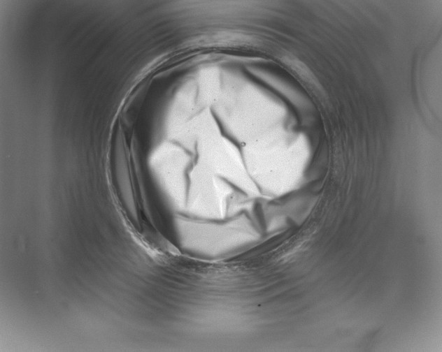 X0000074210850200609221939