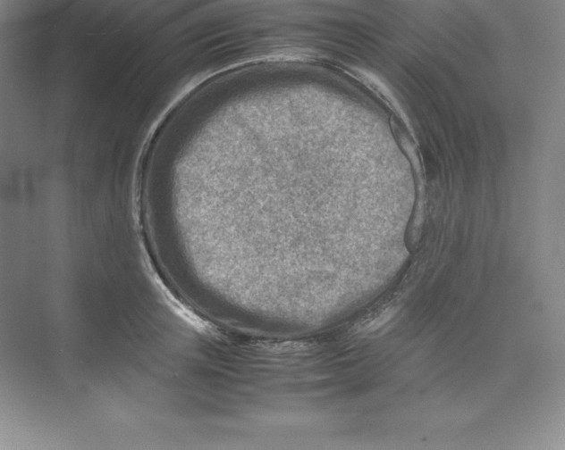 X0000074210851200609221939