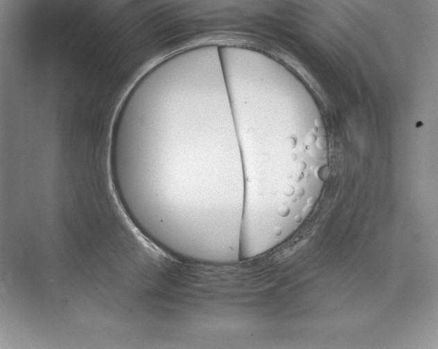 X0000074210853200609221939