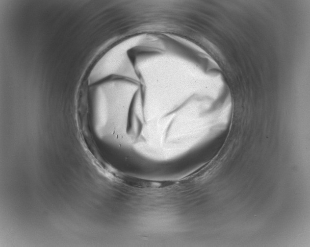 X0000074210854200609221939