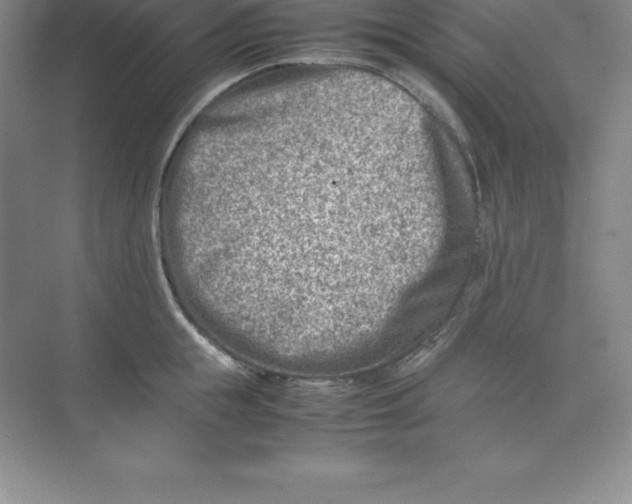 X0000074210855200609221939