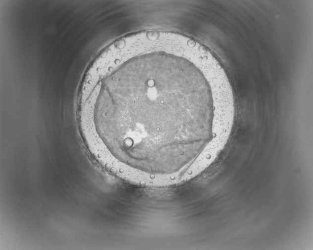 X0000074210856200609221939