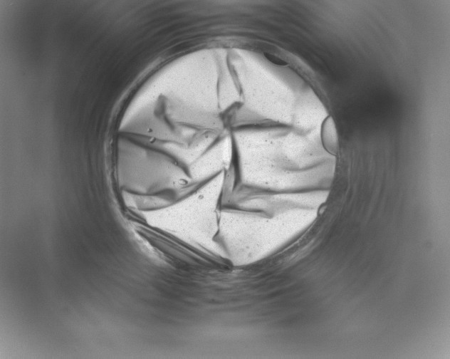 X0000074210859200609221940