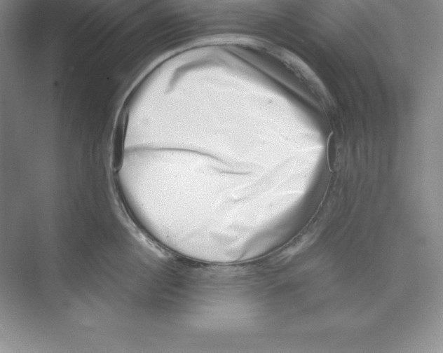 X0000074210860200609221940