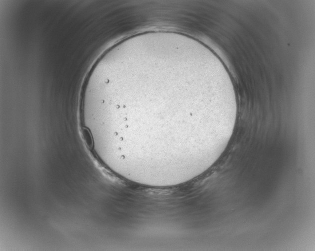 X0000074210861200609221940