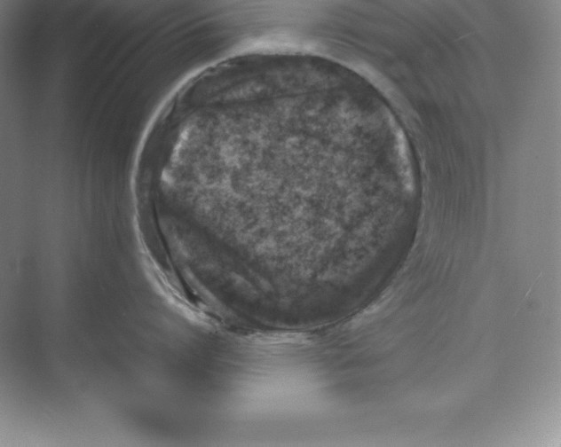 X0000074210864200609221940