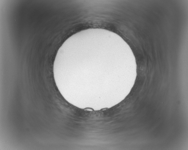 X0000074210865200609221939