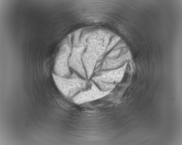 X0000074210868200609221939