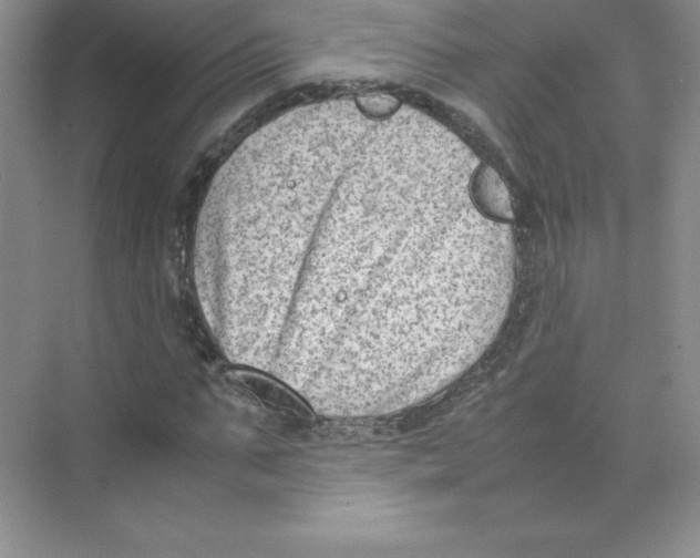 X0000074210871200609221939