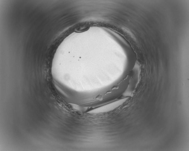 X0000074210872200609221939