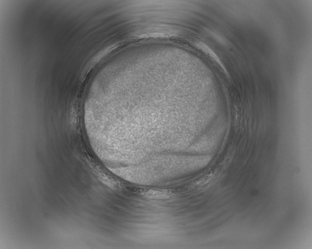 X0000074210874200609221939