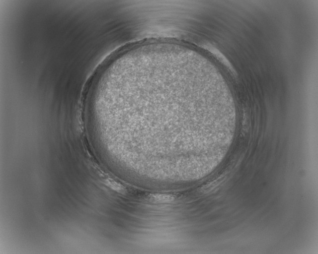 X0000074210878200609221939