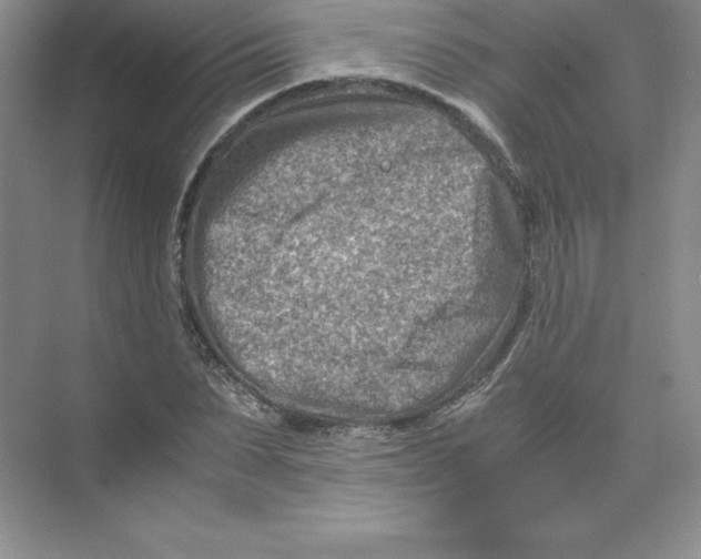 X0000074210879200609221939