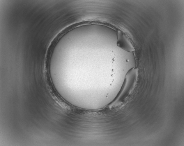 X0000074210880200609221939