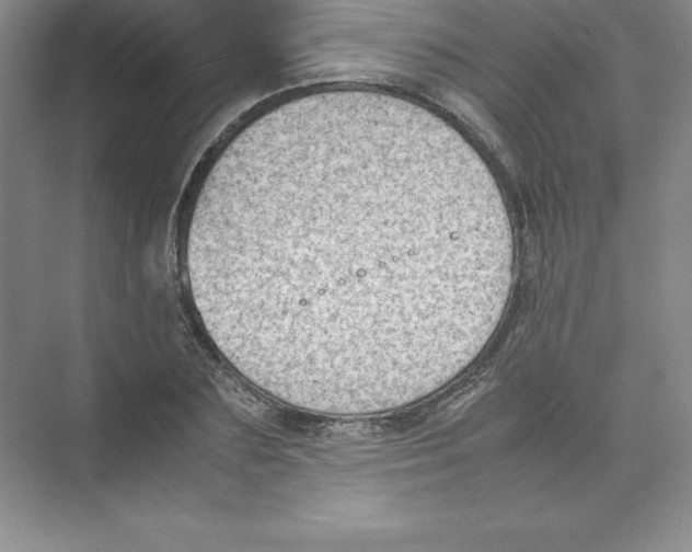 X0000074210883200609221939