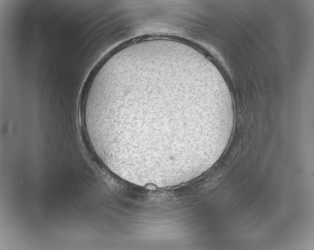 X0000074210887200609221938