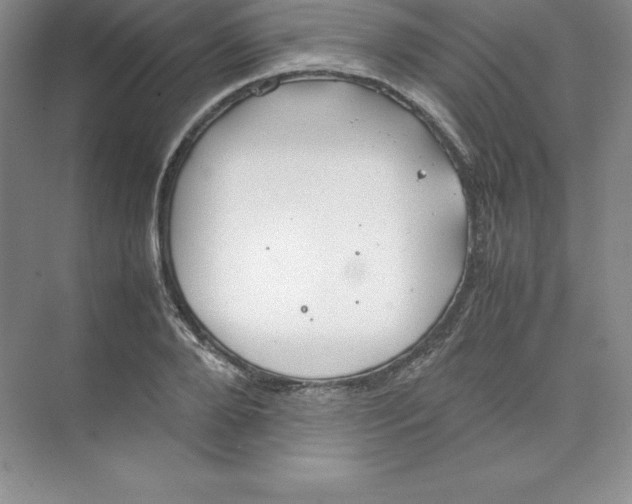 X0000074210888200609221938