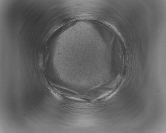 X0000074210889200609221938