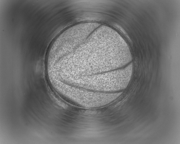 X0000074210890200609221938