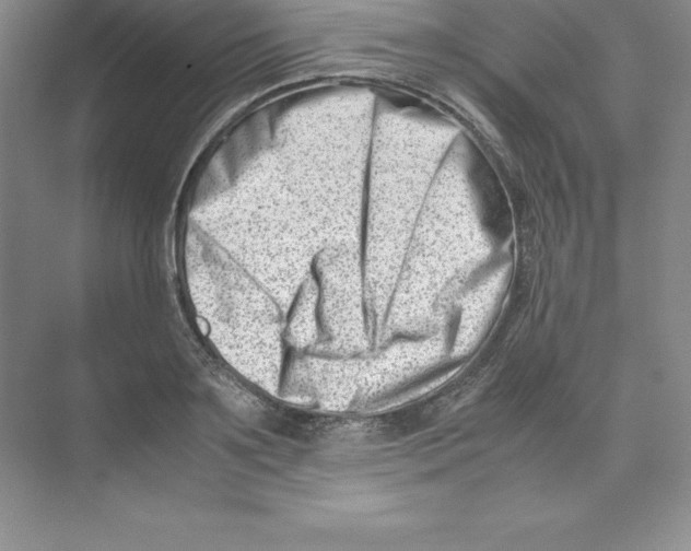 X0000074210891200609221938