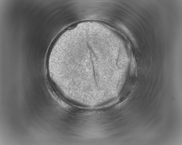 X0000074210892200609221938