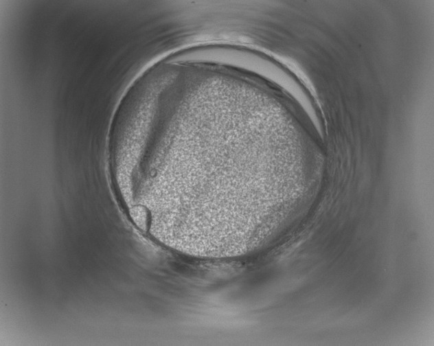 X0000074210895200609221938