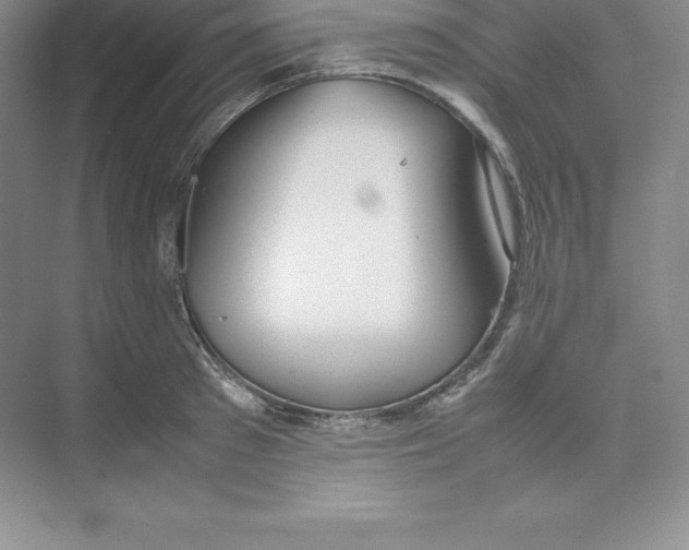 X0000074210897200609221938