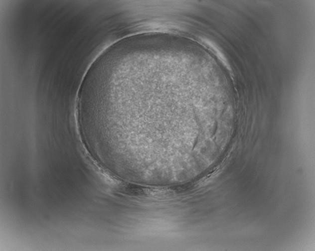 X0000074210899200609221938