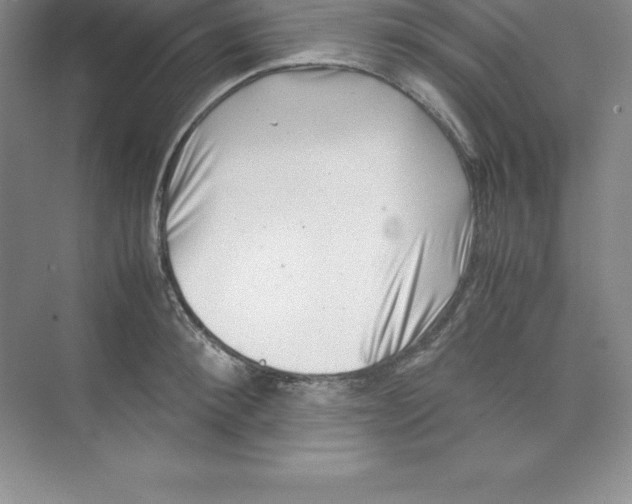 X0000074210900200609221938